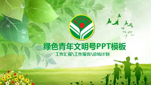 共青团创建青年文明号PPT模板