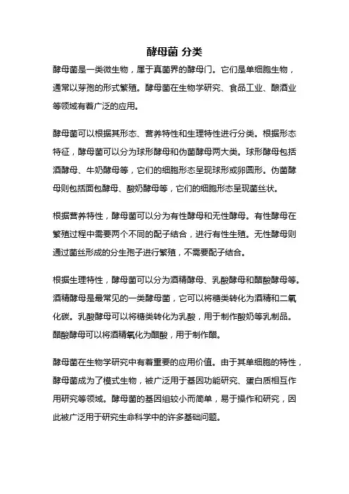 酵母菌 分类