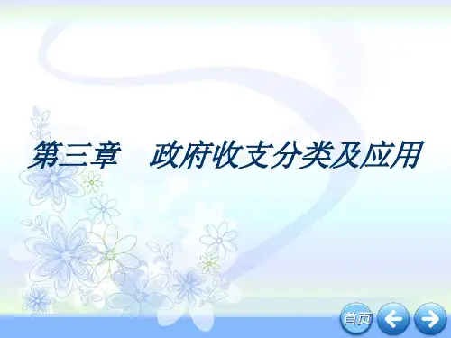 第三章 政府收支分类及应用