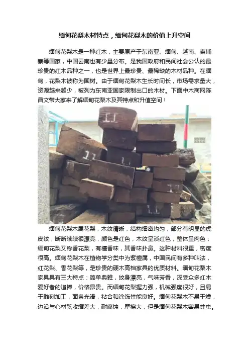 缅甸花梨木材特点，缅甸花梨木的价值上升空间