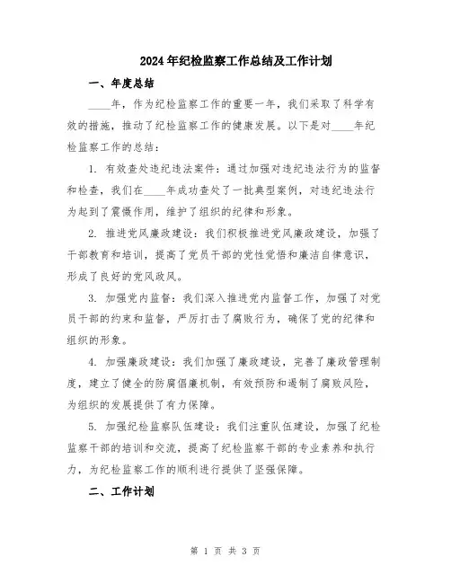 2024年纪检监察工作总结及工作计划