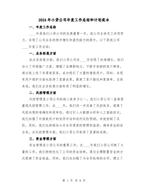 2024年小贷公司年度工作总结和计划范本(4篇)