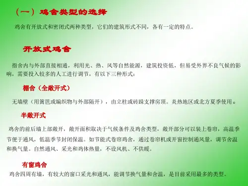鸡舍设计.ppt