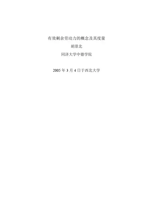 有效剩余劳动力的概念及其度量
