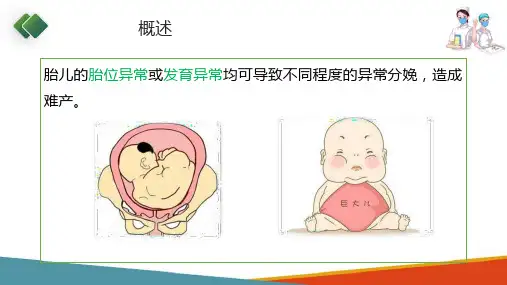 异常分娩妇女的护理—胎儿异常的护理(妇产科护理课件)