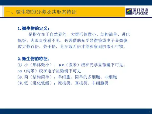 微生物基础知识培训常用微生物知识