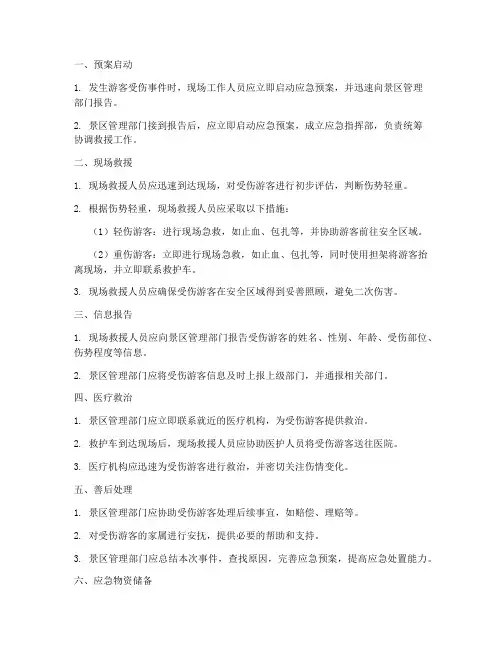 游客受伤应急预案流程