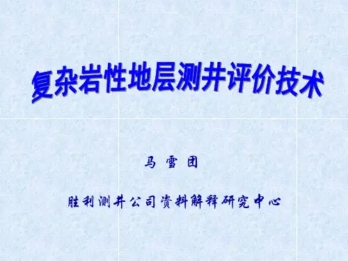 复杂岩性地层评价办法