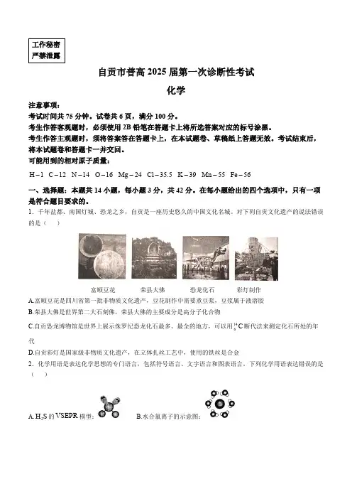 四川省自贡市2024-2025学年高三上学期第一次诊断性考试化学试题