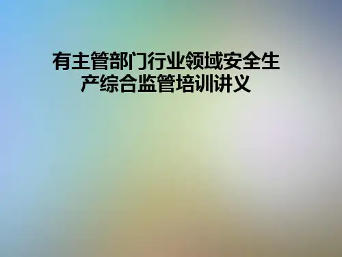 有主管部门行业领域安全生产综合监管培训讲义