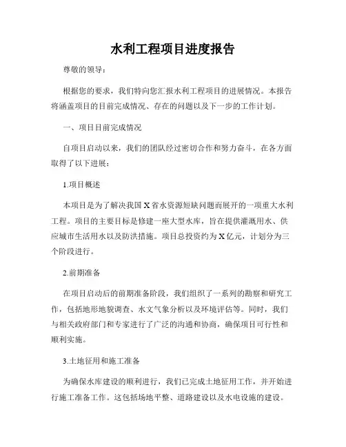 水利工程项目进度报告