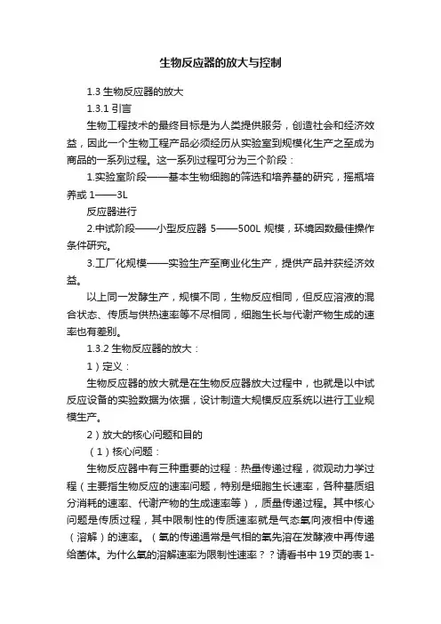 生物反应器的放大与控制