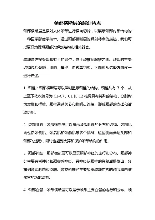 颈部横断层的解剖特点