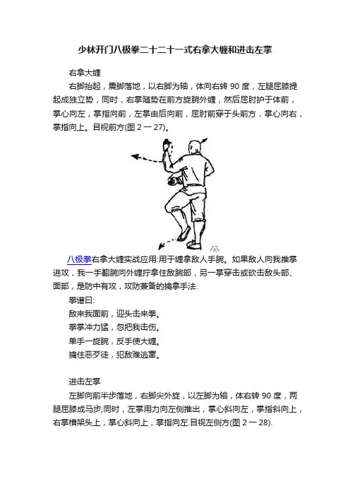 少林开门八极拳二十二十一式右拿大缠和进击左掌