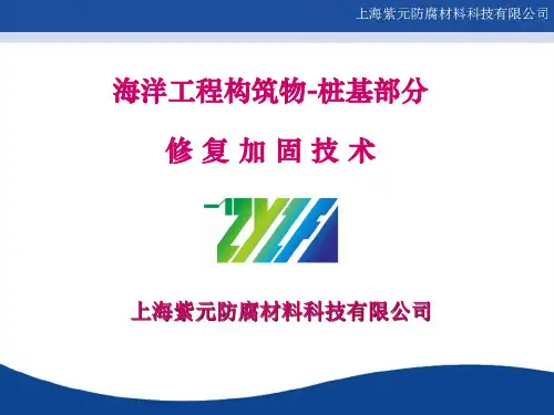 ZYZF-海洋工程构筑物-桩基部分修复加固技术