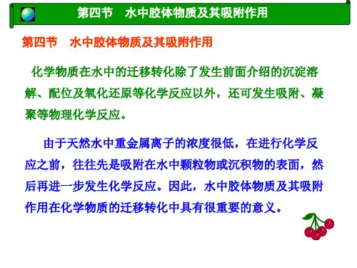 中国农业大学_807环境化学与环境监测_《环境化学》课件_环境化学第三章2