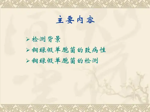 食品中铜绿假单胞菌检测.课件(1).ppt