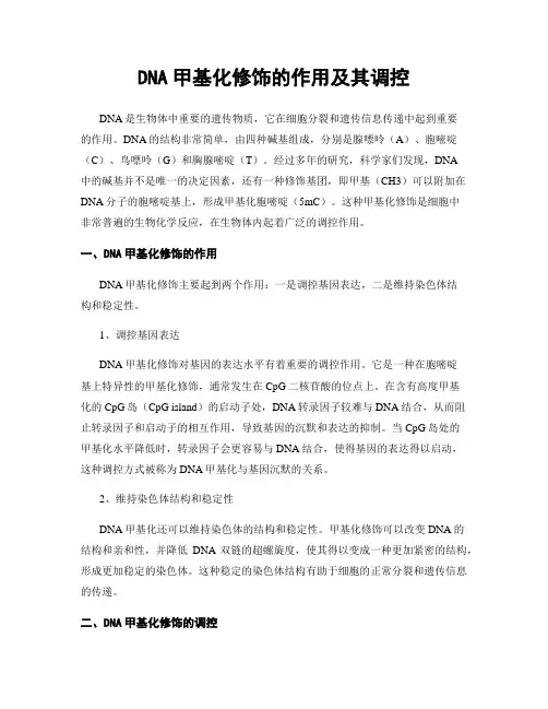 DNA甲基化修饰的作用及其调控