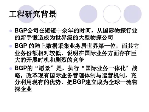 XX公司国际化精选