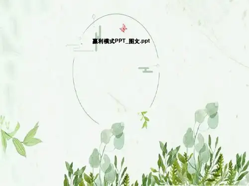 赢利模式PPT-图文