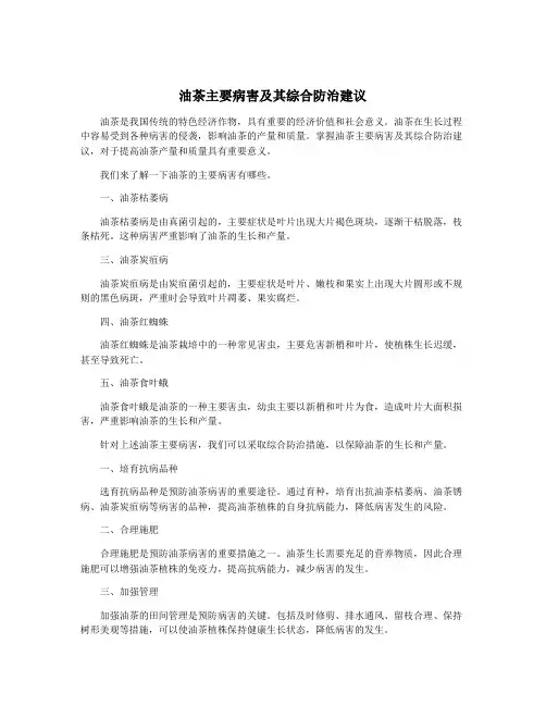 油茶主要病害及其综合防治建议