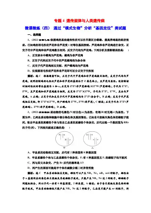 专题4 遗传规律与人类遗传病 微课微练(四) 通过“模式生物”分析“基因定位”类试题