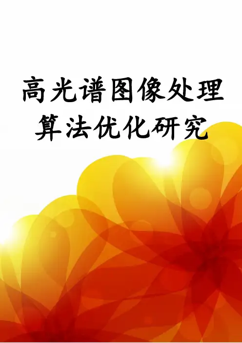 高光谱图像处理算法优化研究