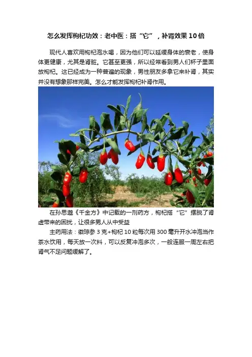 怎么发挥枸杞功效：老中医：搭“它”，补肾效果10倍