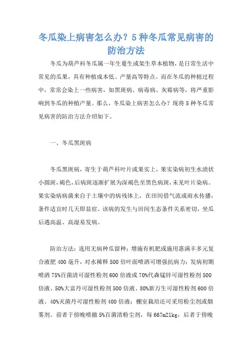 冬瓜染上病害怎么办？5种冬瓜常见病害的防治方法