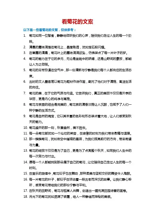 看菊花的文案