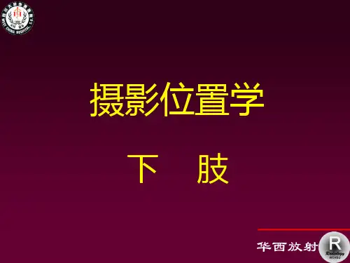 摄影位置学5-四肢骨关节摄影位置2
