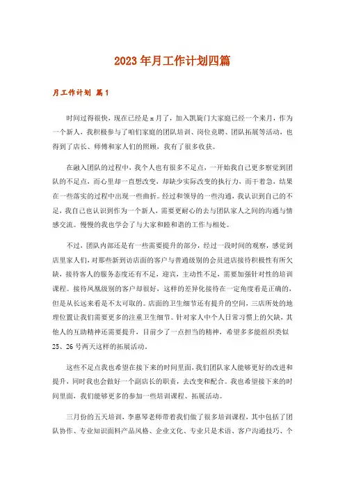 2023年月工作计划四篇_11
