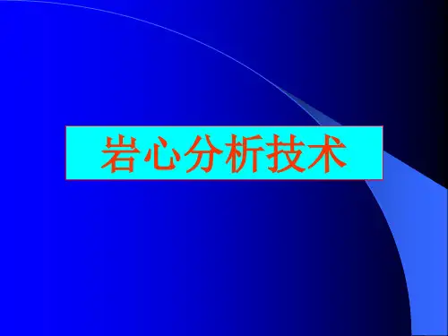 岩心分析技术