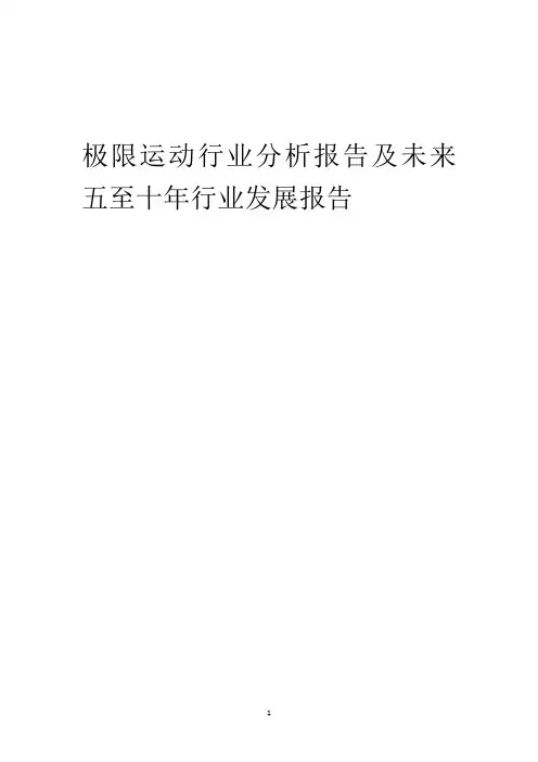 2023年极限运动行业分析报告及未来五至十年行业发展报告