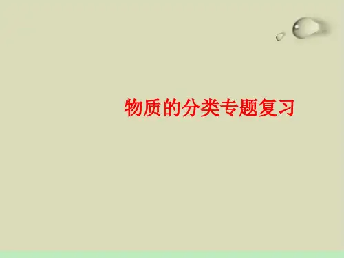 物质的分类完美课件2