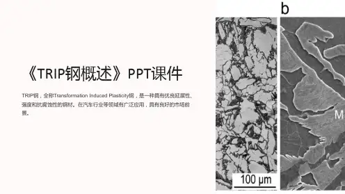 《TRIP钢概述》课件