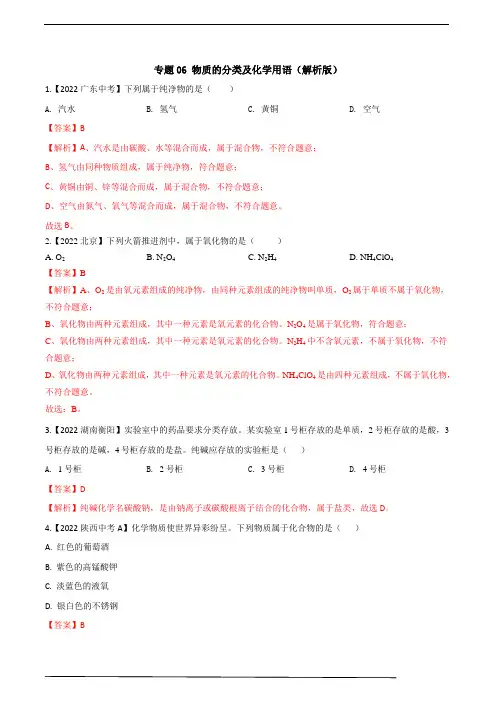 专题06 物质的分类及化学用语(解析版)