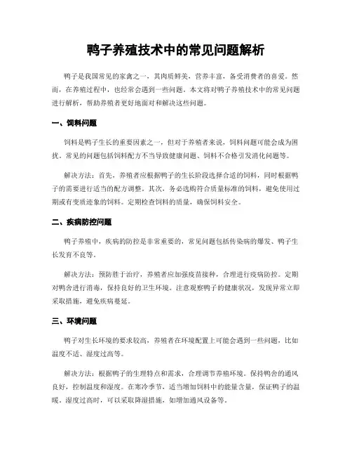 鸭子养殖技术中的常见问题解析