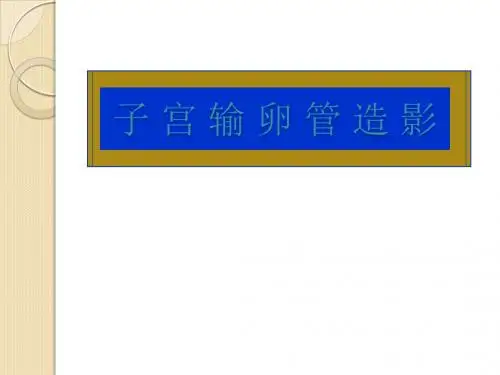 子宫输卵管造影