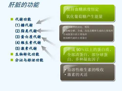 常用保肝药分类及应用