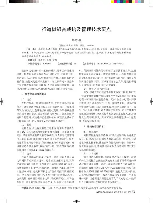 行道树银杏栽培及管理技术要点
