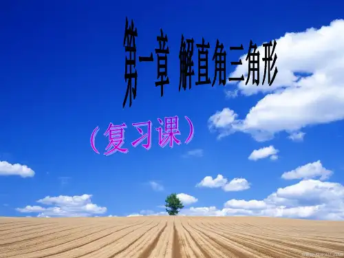 解直角三角形复习课件(浙教版)
