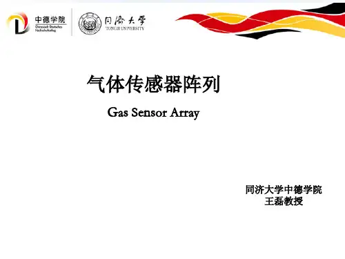 气体传感器阵列-王磊