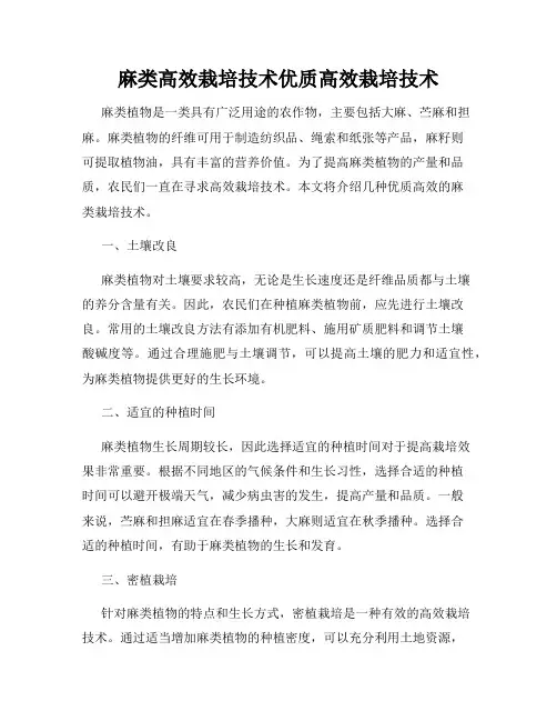 麻类高效栽培技术优质高效栽培技术