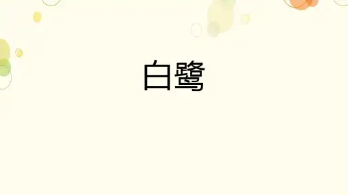 1《白鹭》课件(共23张PPT)