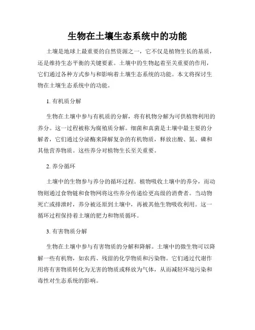 生物在土壤生态系统中的功能
