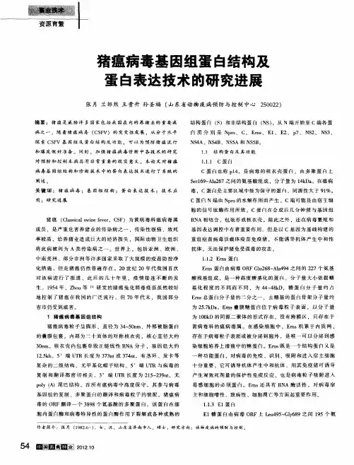 猪瘟病毒基因组蛋白结构及蛋白表达技术的研究进展