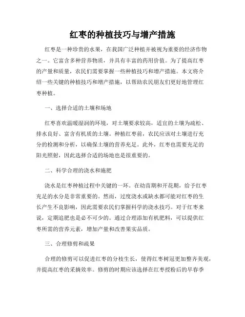 红枣的种植技巧与增产措施