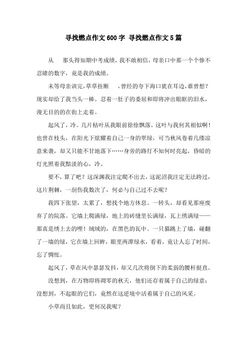 寻找燃点作文600字 寻找燃点作文5篇精选