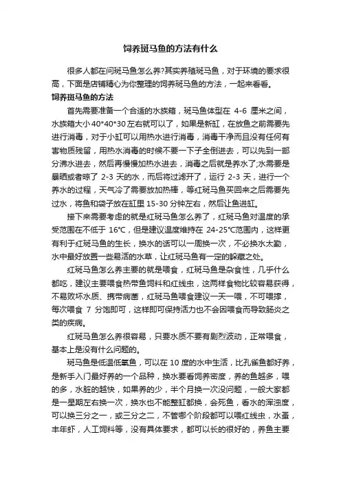 饲养斑马鱼的方法有什么